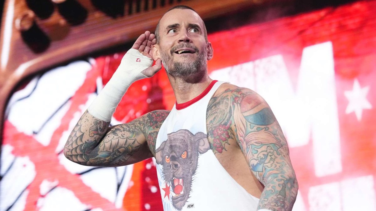 VIDEO: CM Punk Pays Tribute To Terry Funk Following AEW Collision