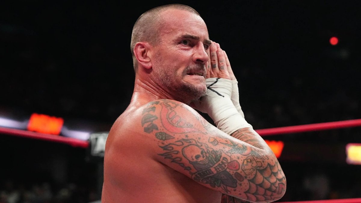 Former WWE Star Comments On Working With CM Punk Again In AEW