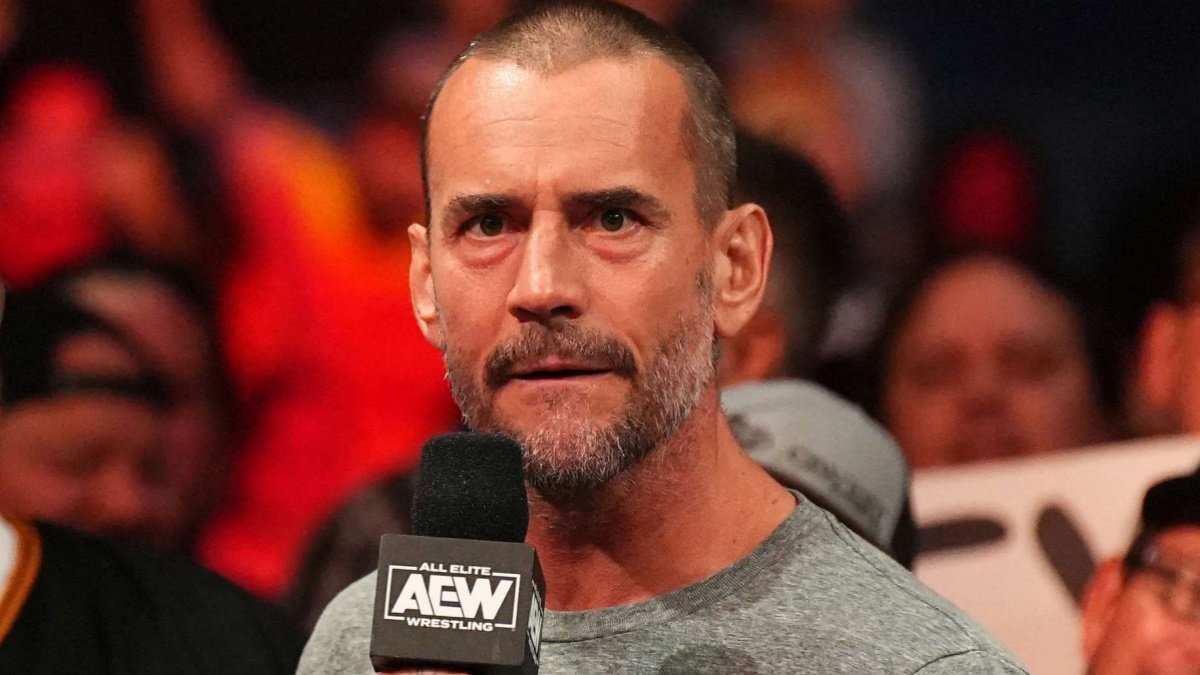 WWE Name Questions If CM Punk Damaged His Reputation In AEW