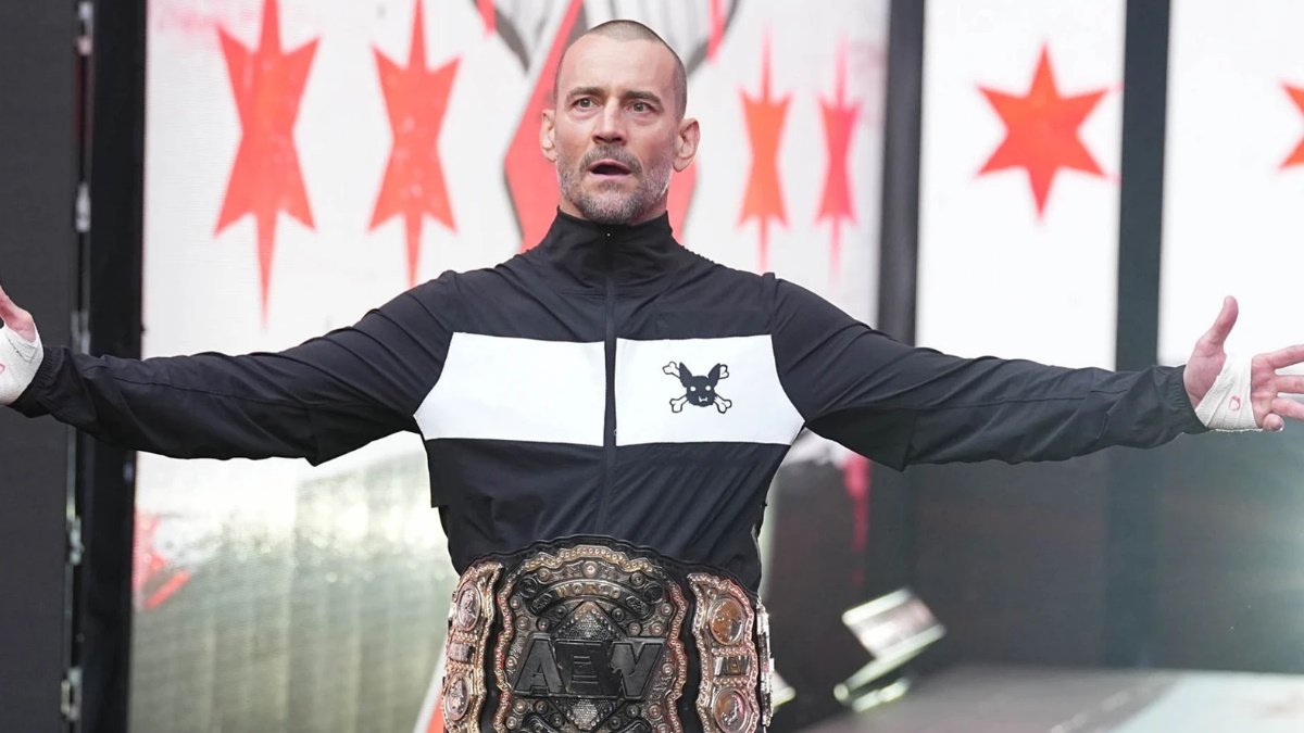 Popular AEW Star Reflects On Working With CM Punk