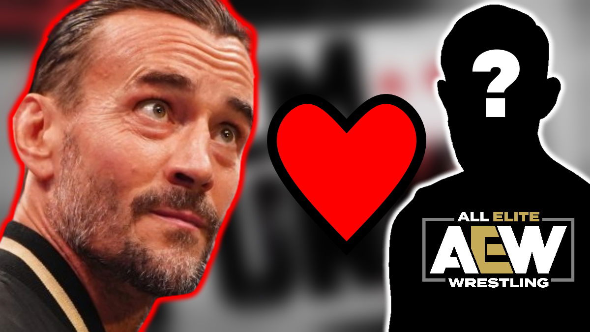 14 AEW Stars CM Punk Actually Likes