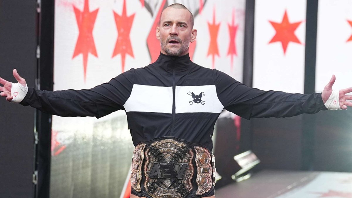 WWE Star ‘Wouldn’t Put It Past WWE’ To Hire CM Punk