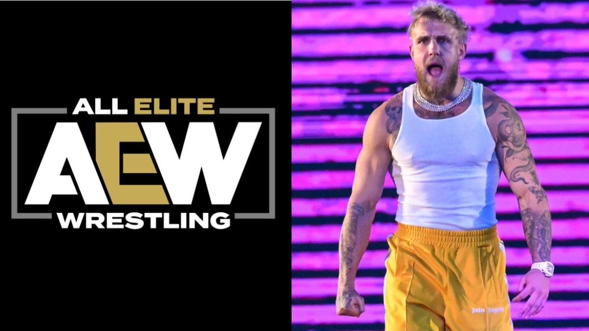 AEW Star Challenges Jake Paul To A Boxing Match