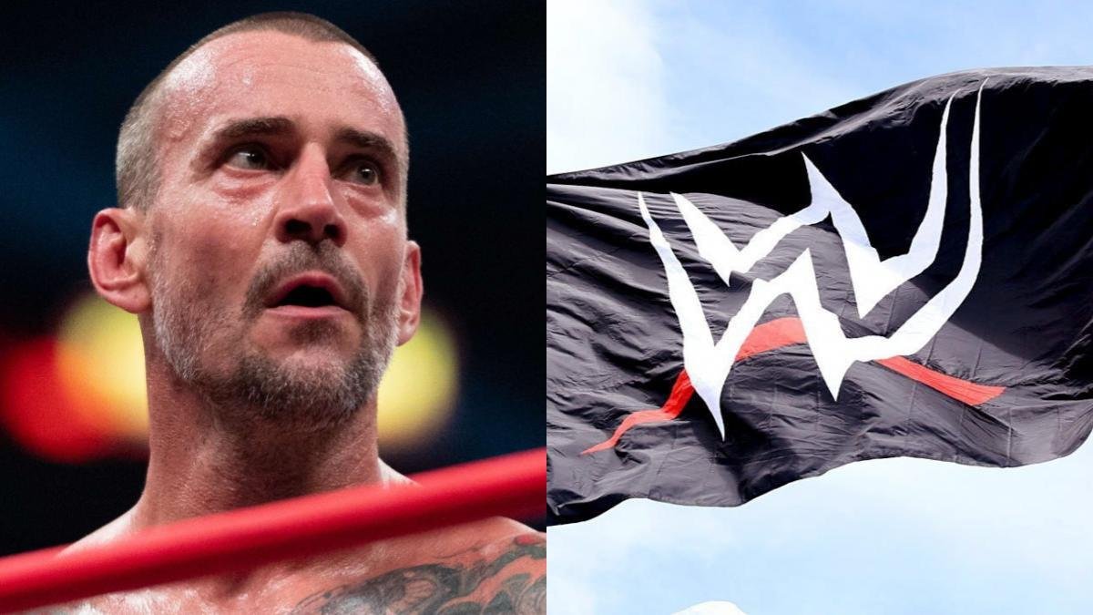 Released WWE Star Fires Shots At CM Punk After Survivor Series Return