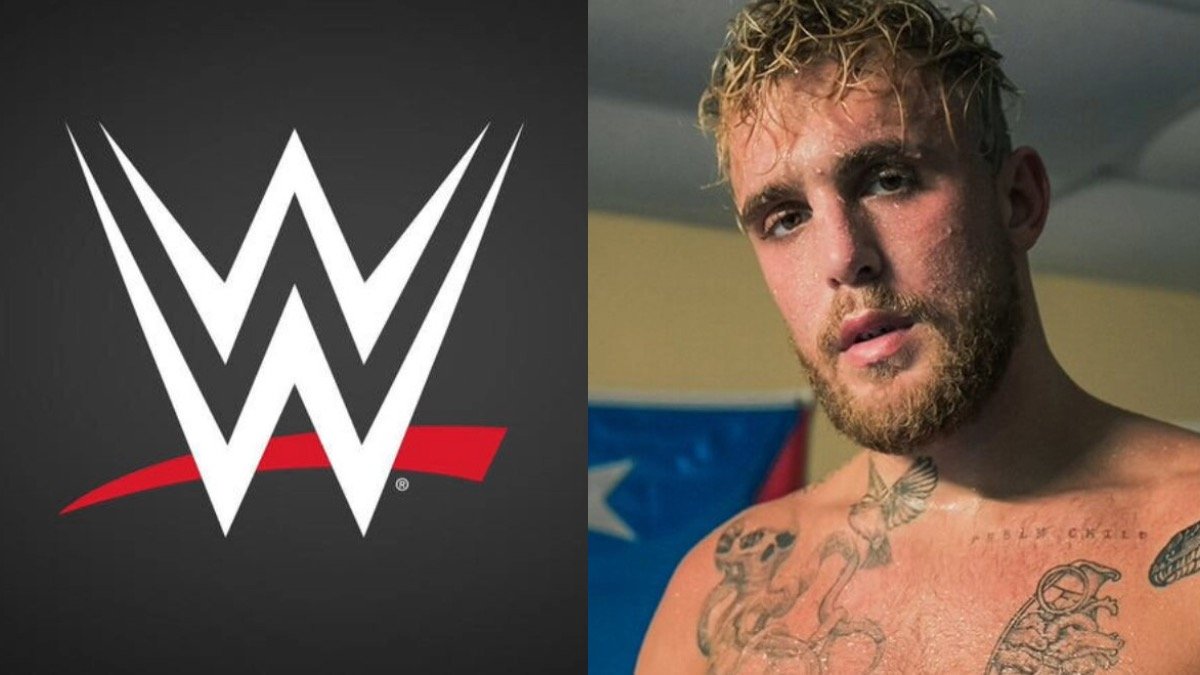Update On Potential Fight Between Released WWE Star & Jake Paul