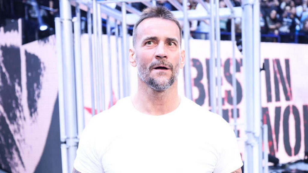 CM Punk Replaces Popular WWE Star
