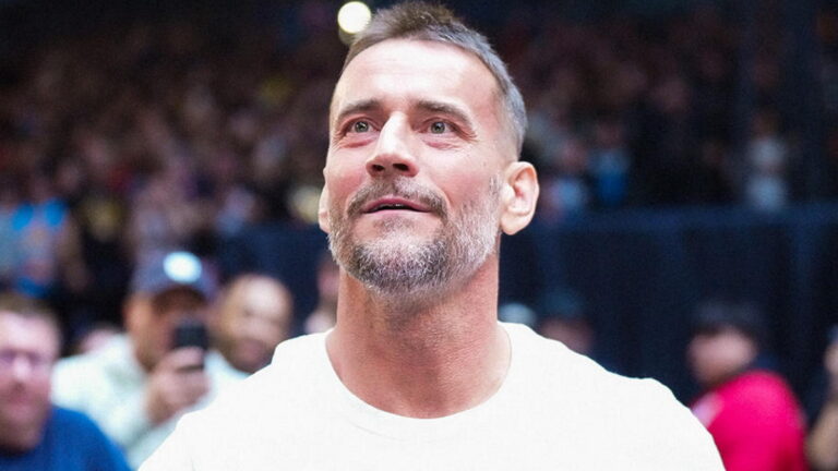 WWE star CM Punk