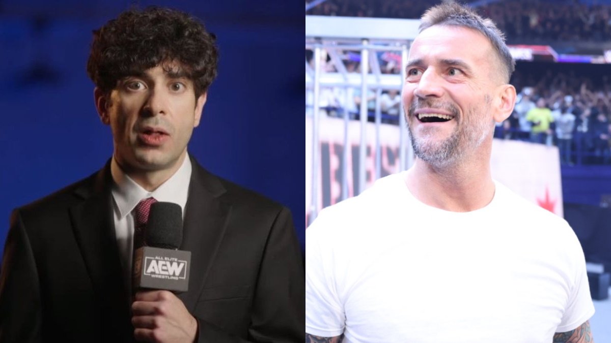 Major AEW Star Wanted Match With CM Punk
