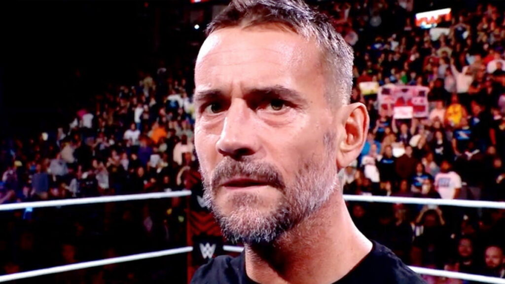 WWE star CM Punk