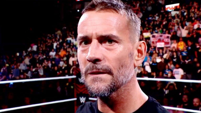 WWE star CM Punk