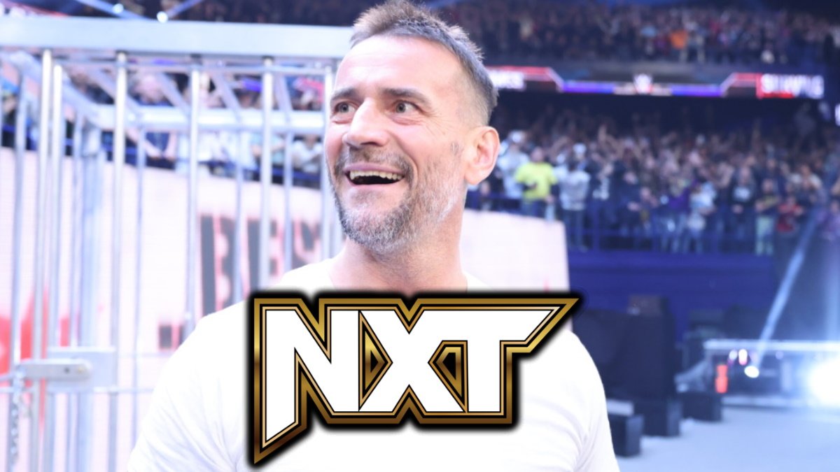 CM Punk WWE NXT Plans Confirmed