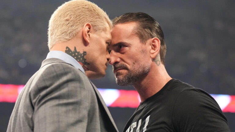 WWE stars Cody Rhodes and CM Punk