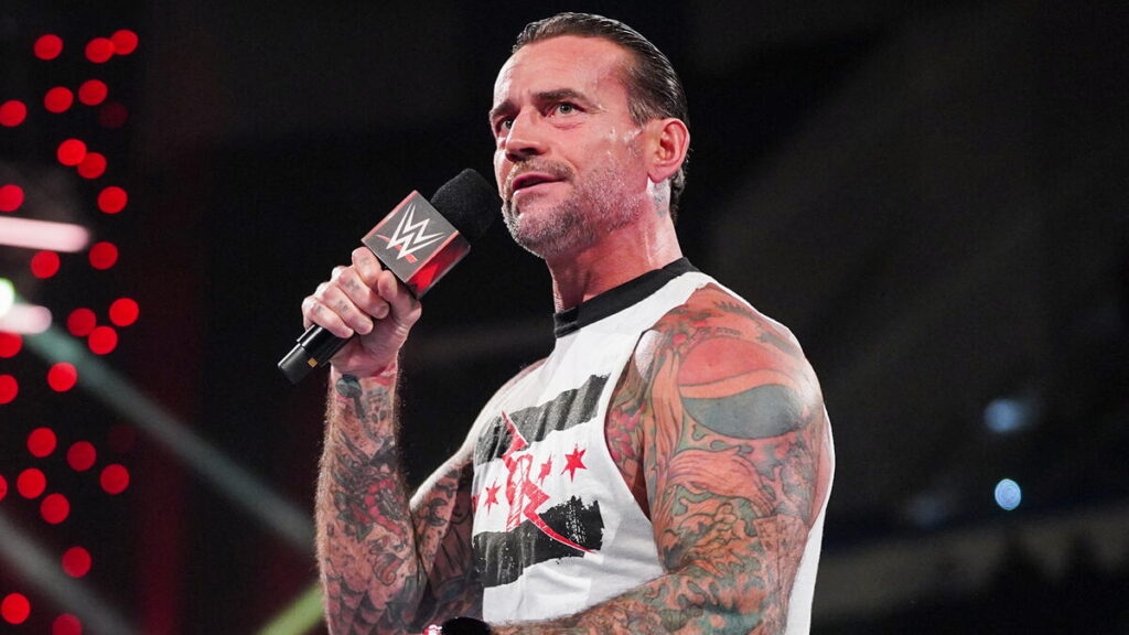 WWE star CM Punk