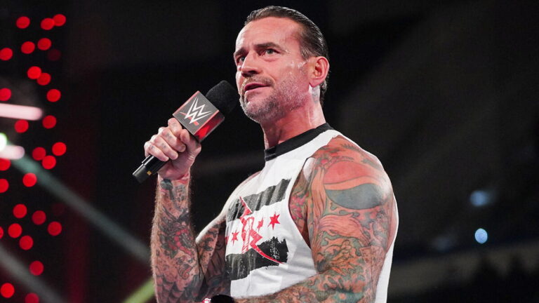 WWE star CM Punk