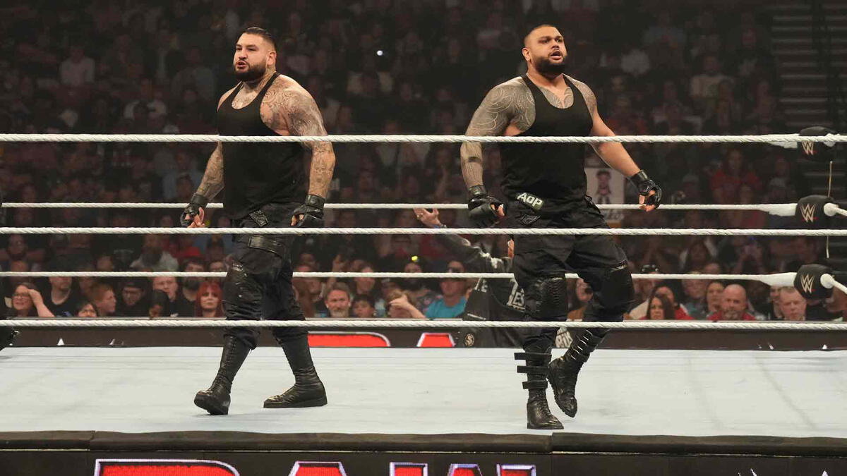 WWE tag team the Authors of Pain
