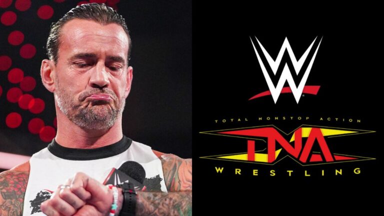 TNA Wrestling Star Mentions CM Punk In Reaction To Potential WWE Crossover Match
