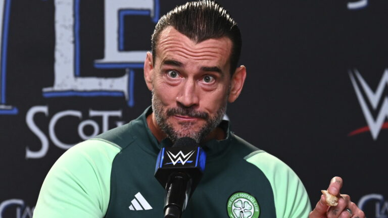 WWE star CM Punk