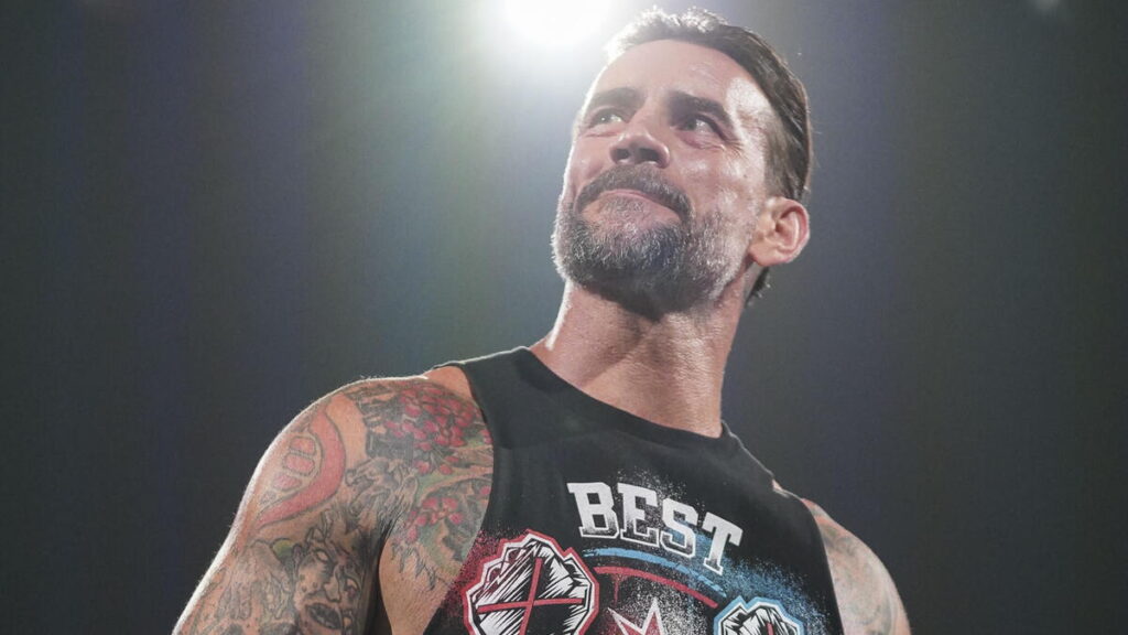WWE star CM Punk