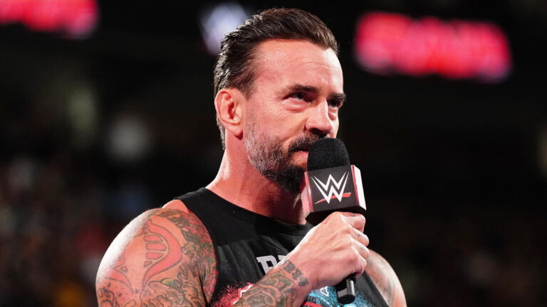 WWE Raw star CM Punk