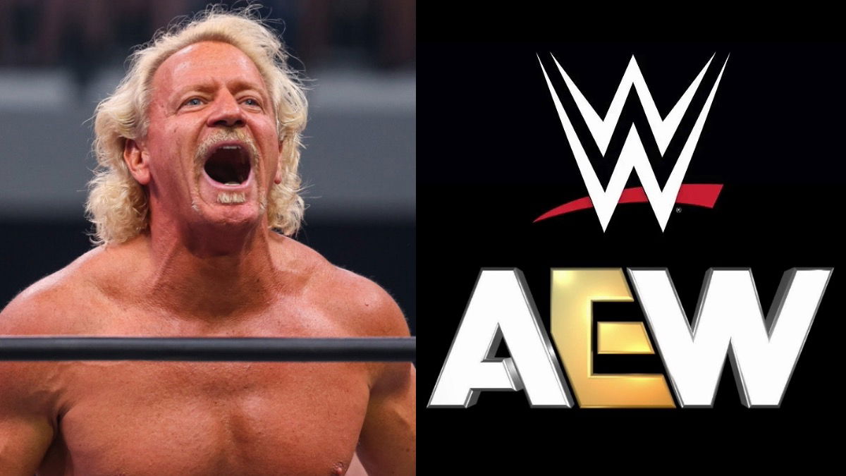 Jeff Jarrett pense qu'une ancienne star de la WWE serait « fantastique ...