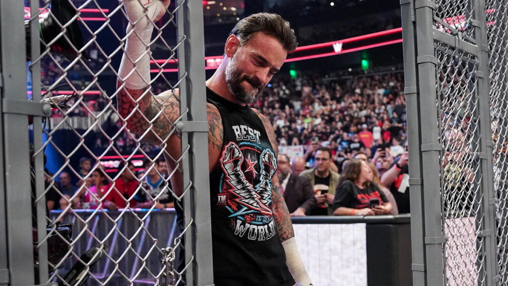 WWE Raw star CM Punk