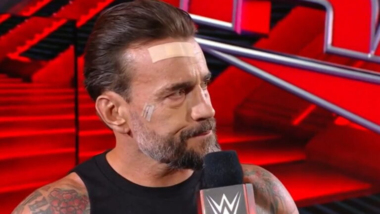 CM Punk Addresses WWE In-Ring Future After Hell In A Cell