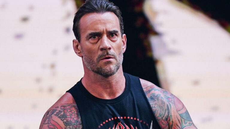 WWE star CM Punk