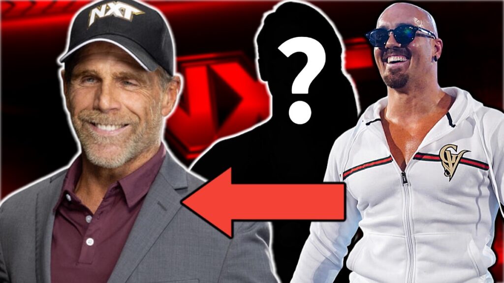 7 Underused WWE Raw & SmackDown Stars To Move To NXT