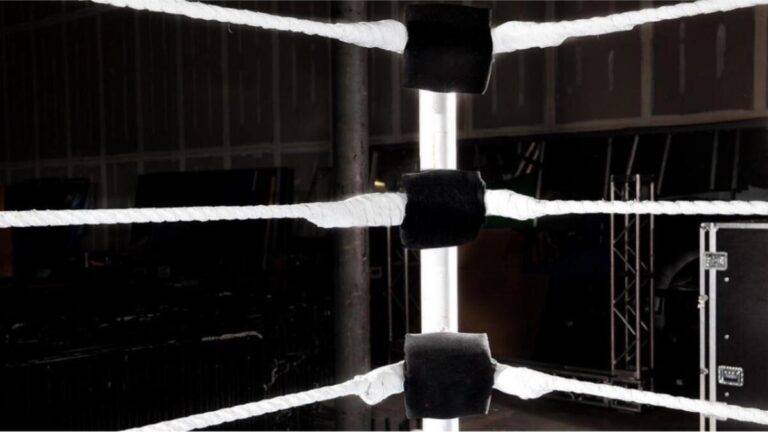 Retired Star Turned Down In-Ring Return Pitch For Upcoming Show