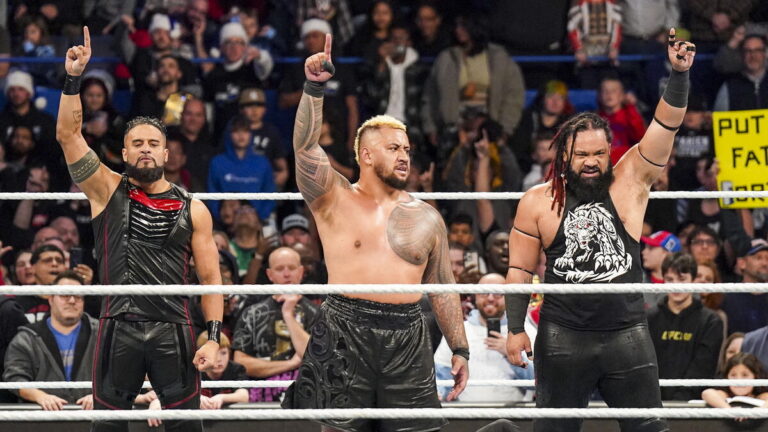 New Bloodline Member WWE Status Update