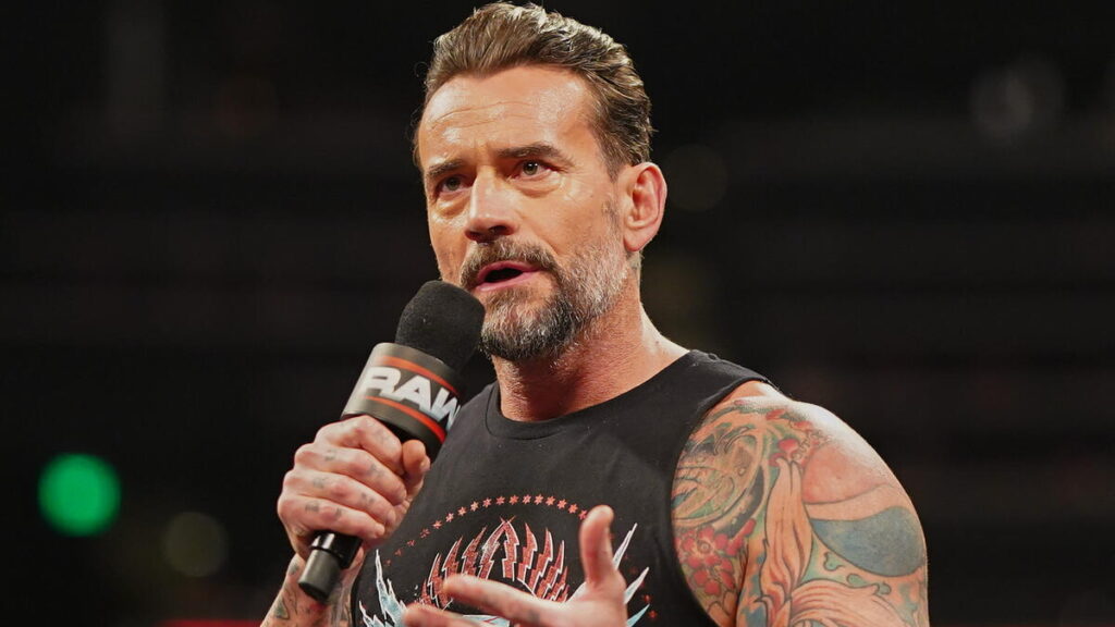 WWE star CM Punk