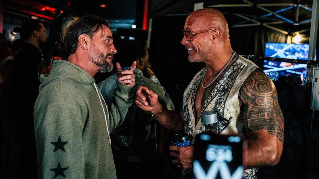 WWE stars CM Punk and The Rock