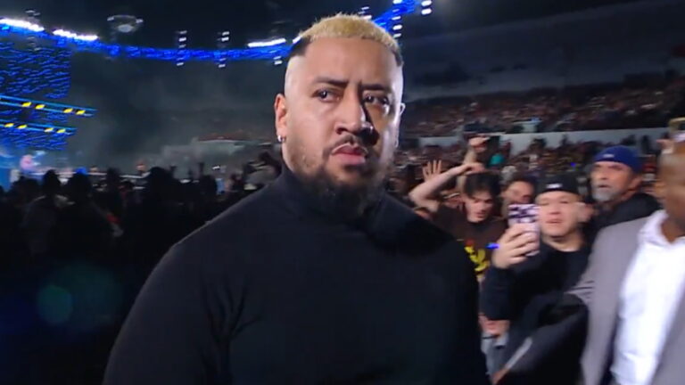 WWE Bloodline member, SmackDown star Solo Sikoa