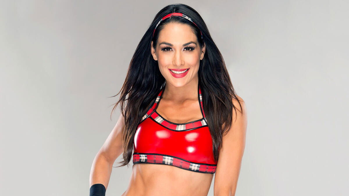 Brie Bella Potential WWE Return Update