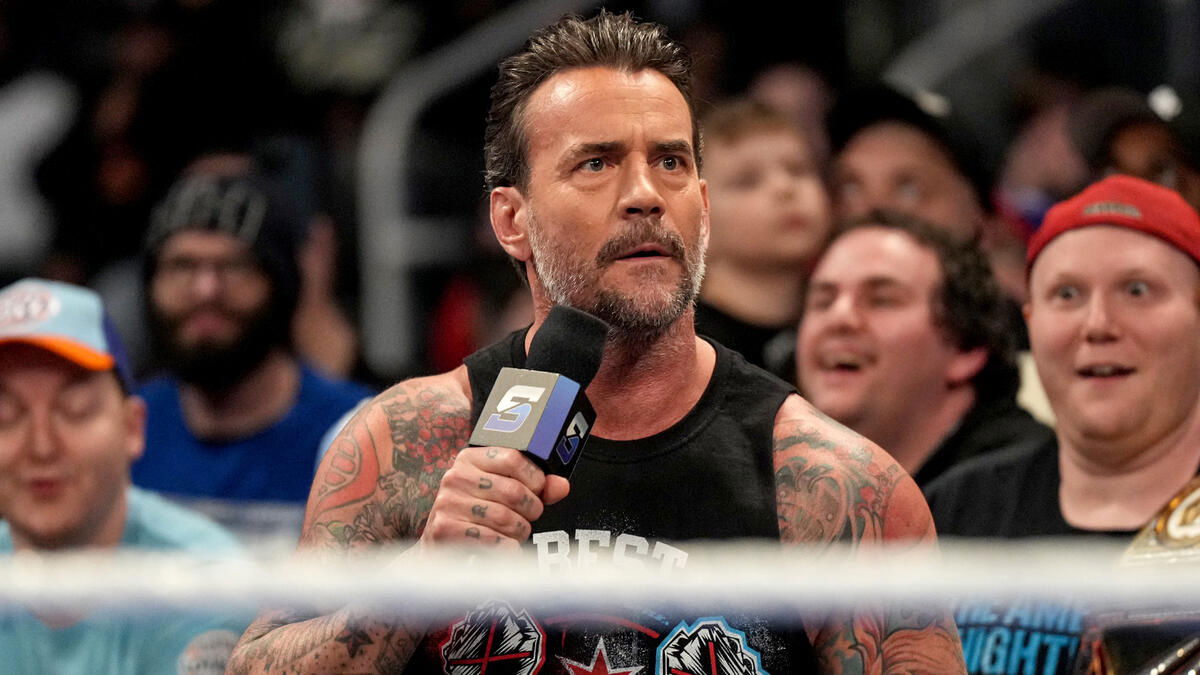 CM Punk Calls For Match Against Current WWE Champion