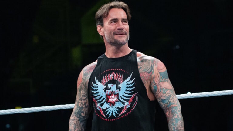 WWE star CM Punk