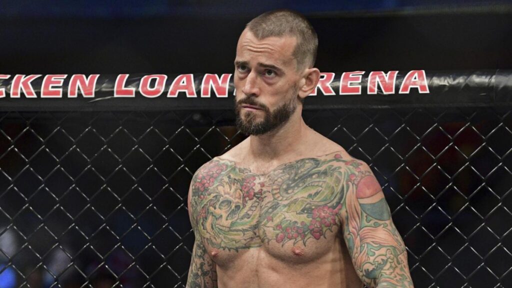 WWE's CM Punk in UFC