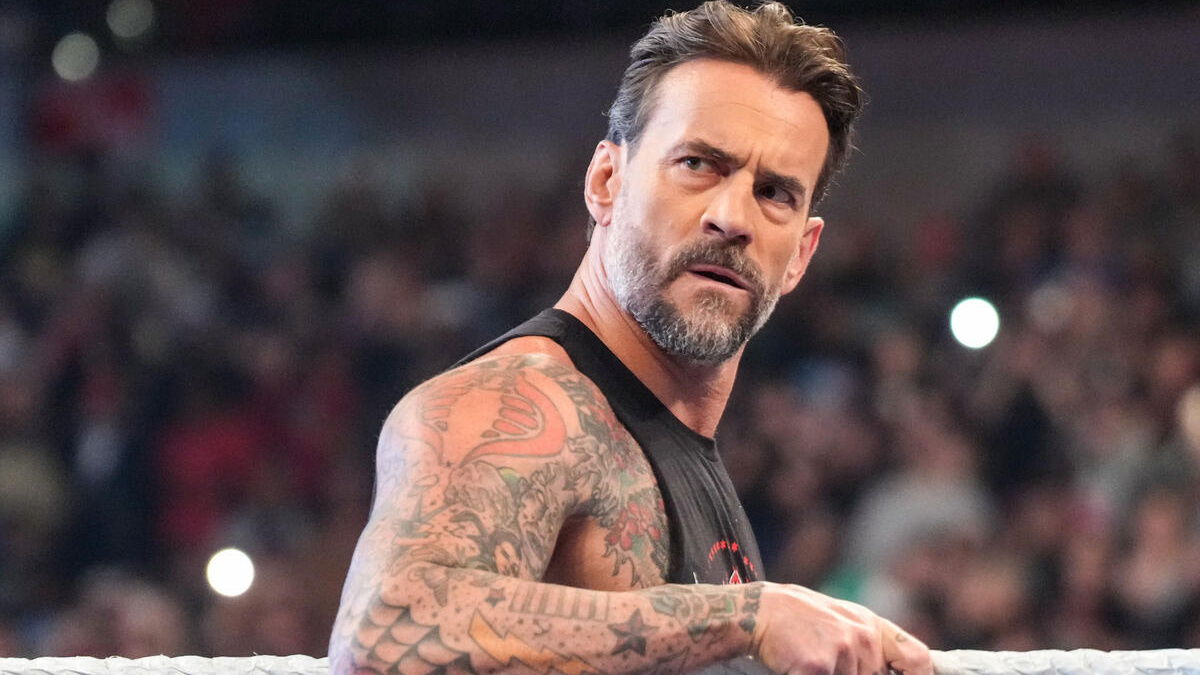 WWE's CM Punk