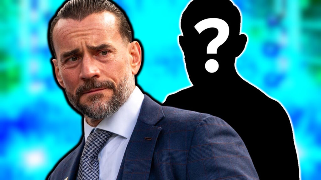 WWE star CM Punk