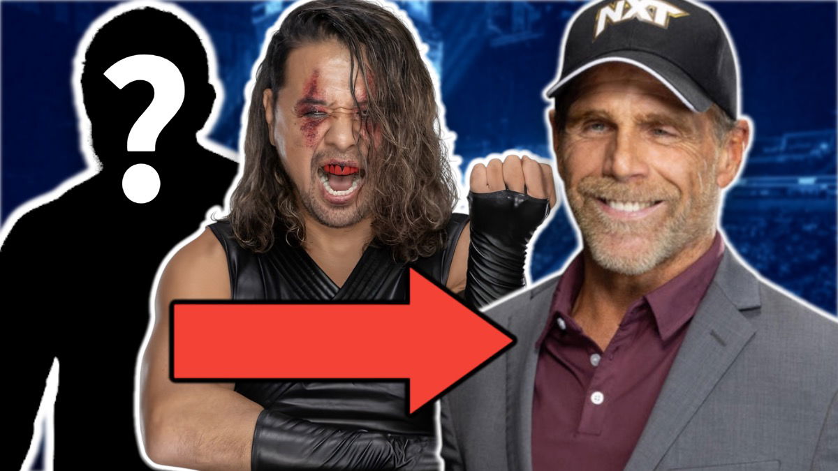 WWE Main Roster Stars To Get Drafted To NXT
