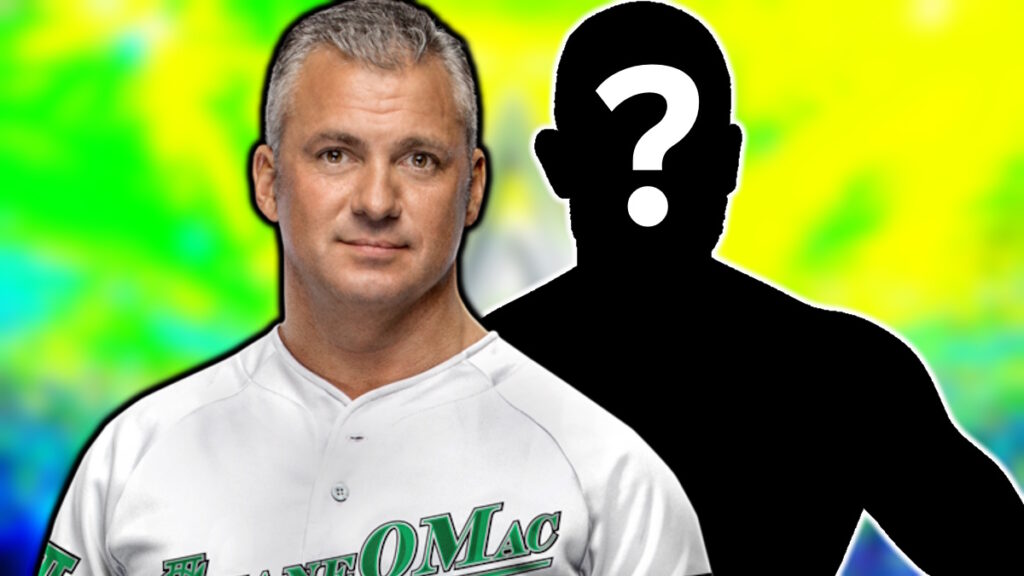WWE star Shane McMahon