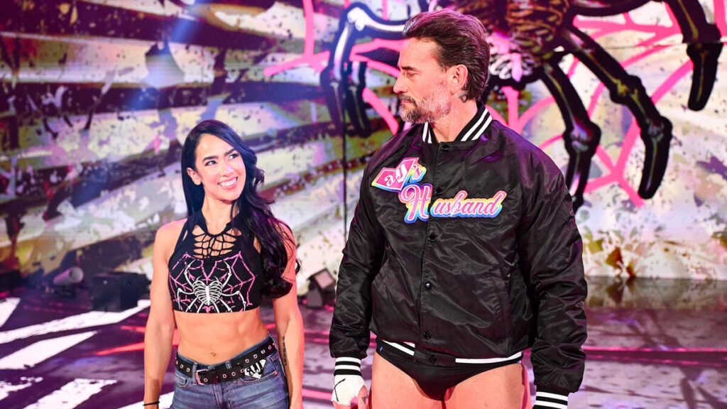 WWE stars AJ Lee and CM Punk
