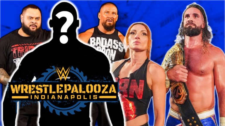 WWE The Vi