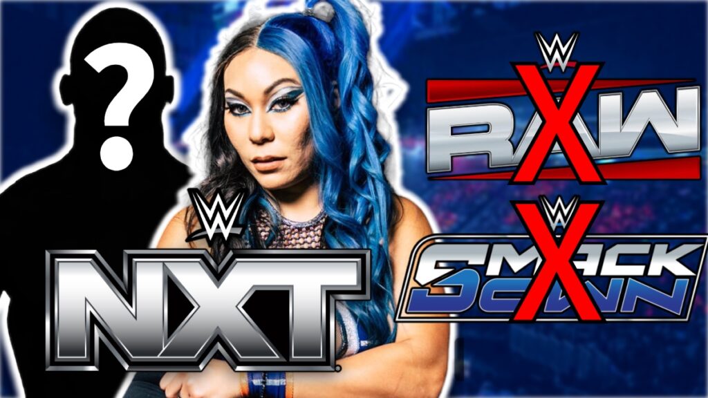 Main Roster WWE Stars To Join NXT