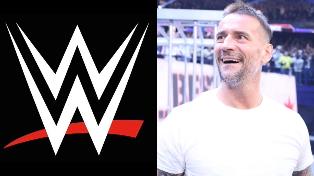 Released WWE Star Details Scrapped Main Roster Call-Up, Plans Changing After CM Punk Return