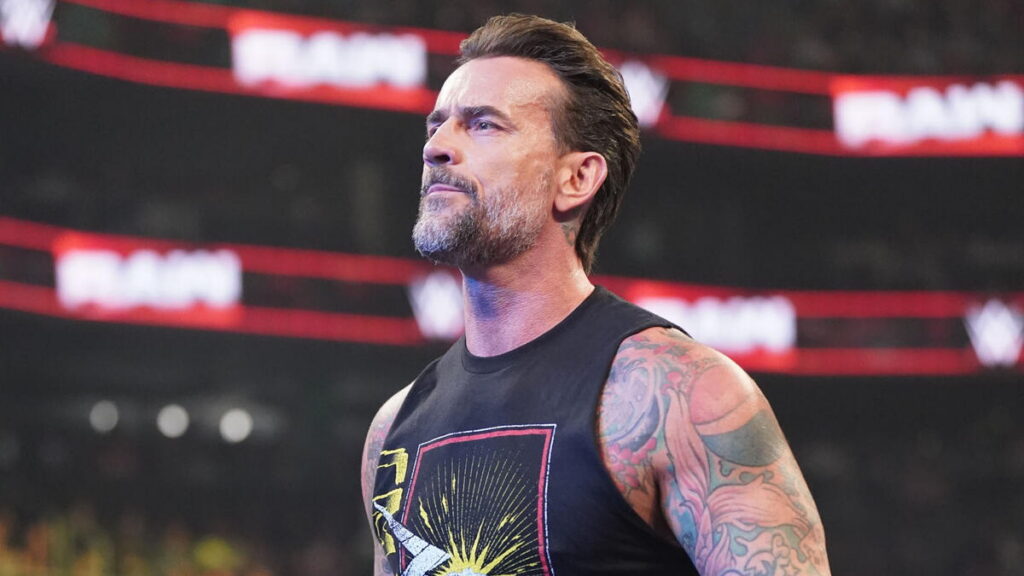 WWE star CM Punk
