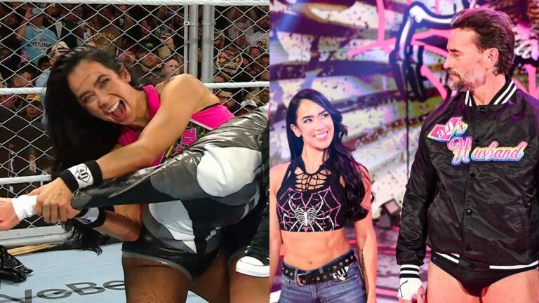 AJ Lee at WWE Survivor Series alongside CM Punk