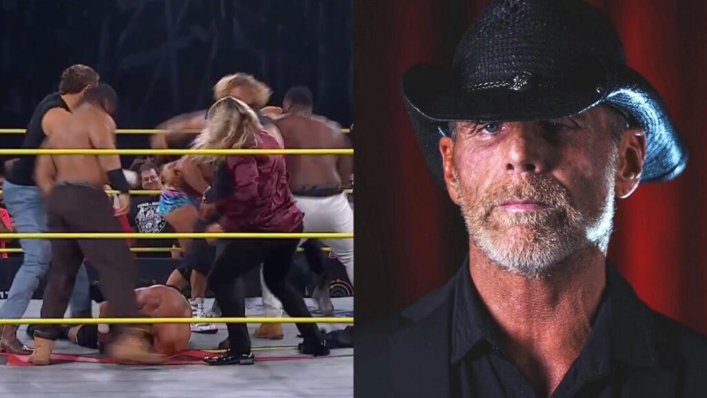 Shawn Michaels alongside NXT's invasion of TNA