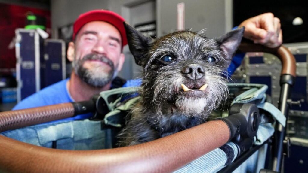WWE star CM Punk with his late dog Larry