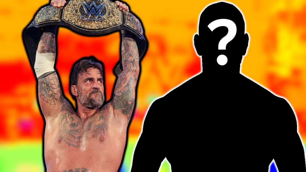 WWE star CM Punk